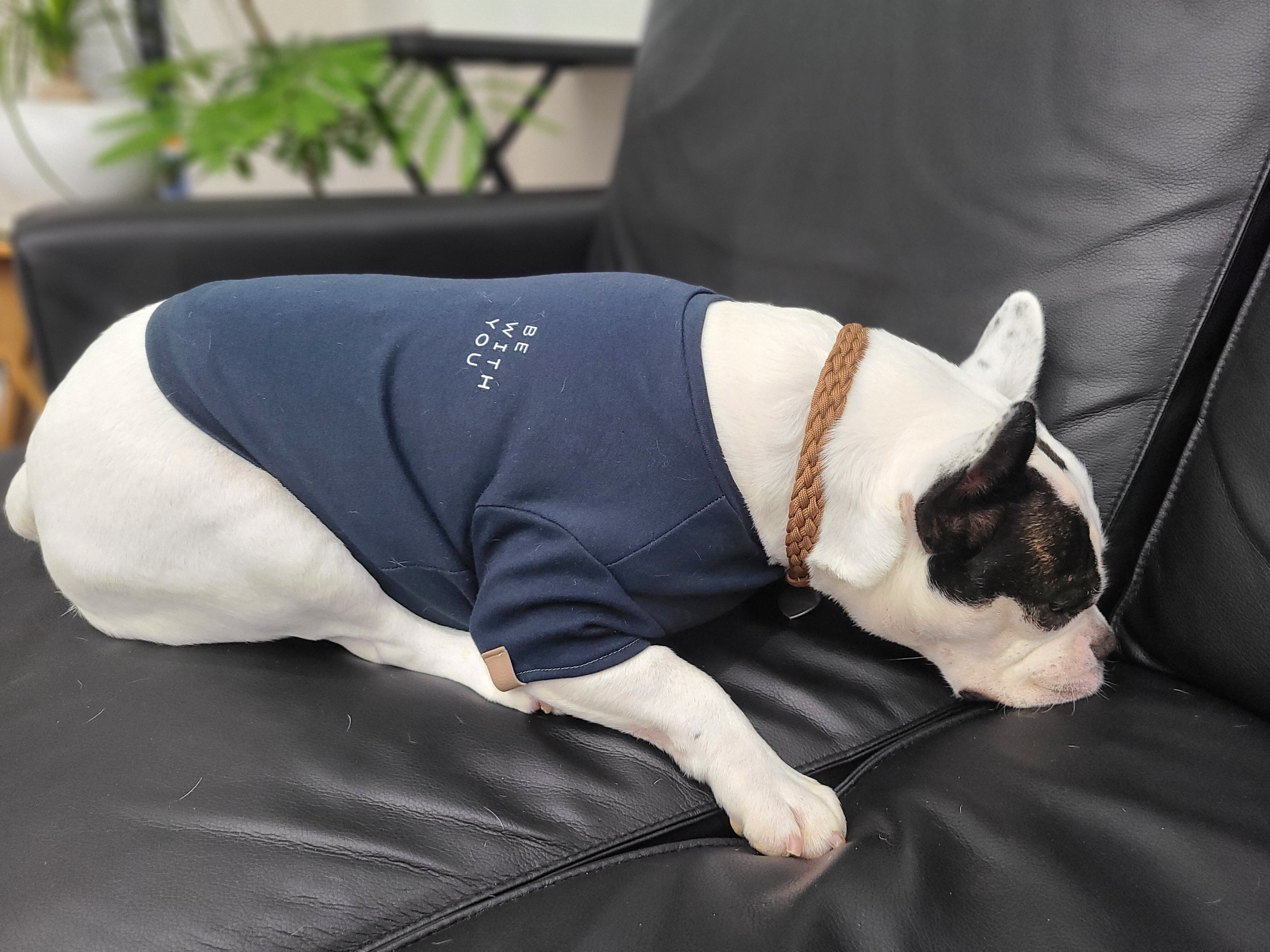 パラコードチョーカー『柴犬と3色だんごチョーカー』オーダーページ パラコードチョーカー『柴犬と3色だんごチョーカー』オーダーページ
