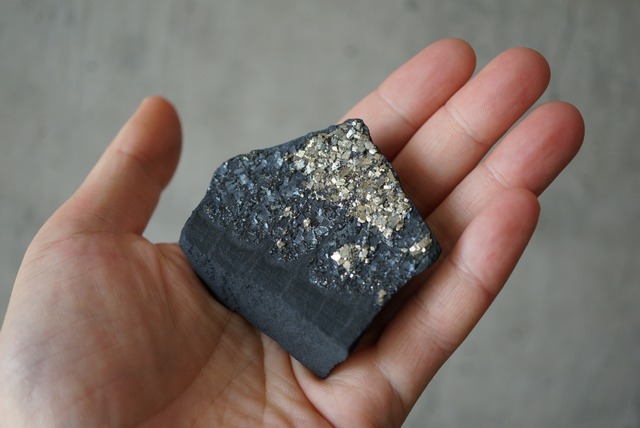 パイライト/シュンガイト Pyrite / Shungite 1193