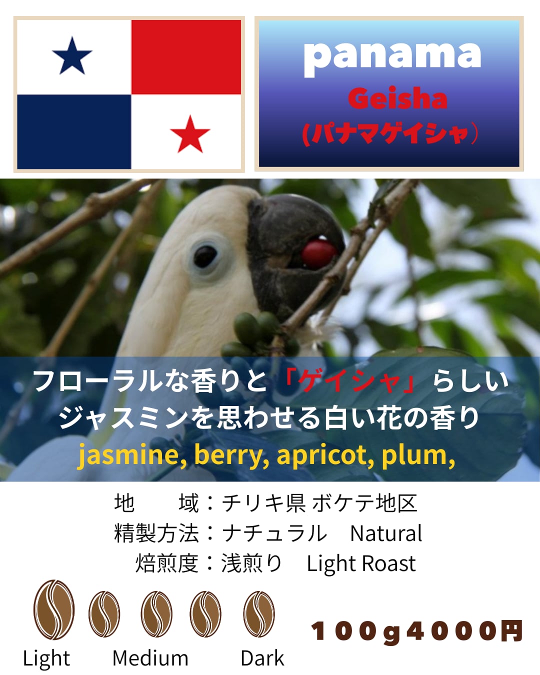 パナマゲイシャ100g 【クリックポスト発送用】