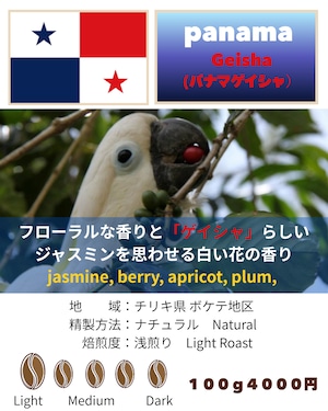 パナマゲイシャ100g 【クリックポスト発送用】