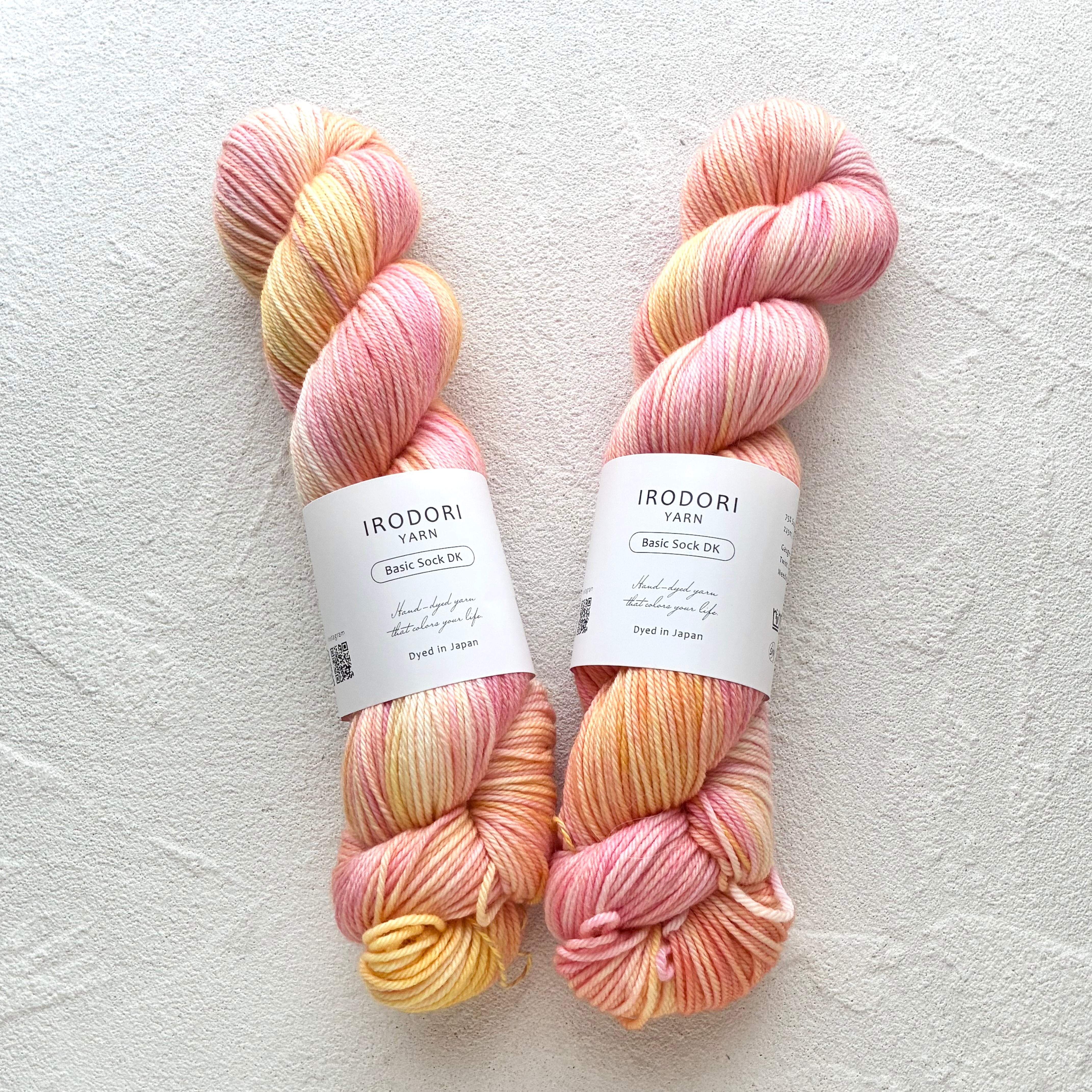 Basic Sock DK【勝手口の通いねこ】 | IRODORI YARN | 手染め毛糸と
