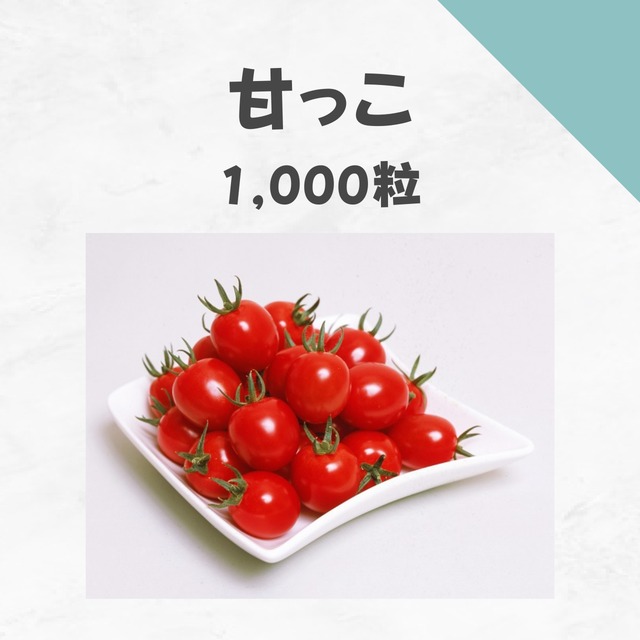 甘っこ　トマト種子・1,000粒