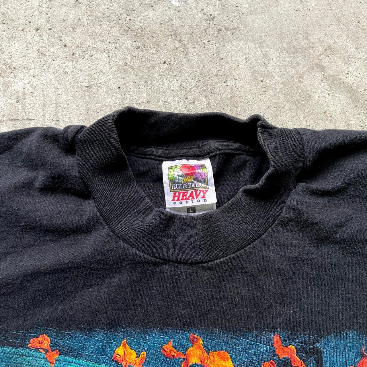 希少！！90s ヴィンテージ オールド サンディ スコグランド アートTシャツ