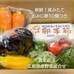 野菜詰合せ　産みたて赤卵10個付き　（数量限定）