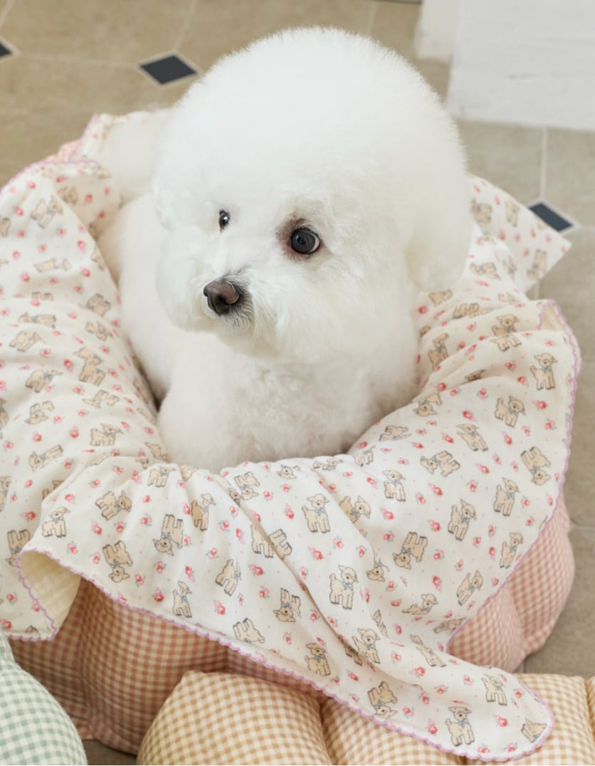 予約【azalea】lamp blanket