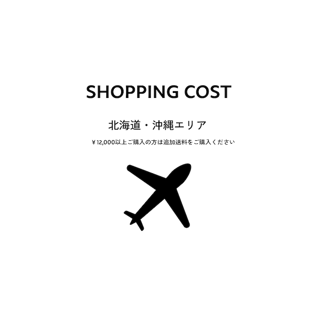 【北海道/沖縄の方専用】追加送料