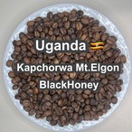 Uganda Kapchorwa Mt.Elgon BlackHoney（ ウガンダ カプチョルワ マウント エルゴン ブラックハニー ）100g 【受注焙煎・自家焙煎コーヒー豆】【ほろ苦さのキレと甘味のバランス】