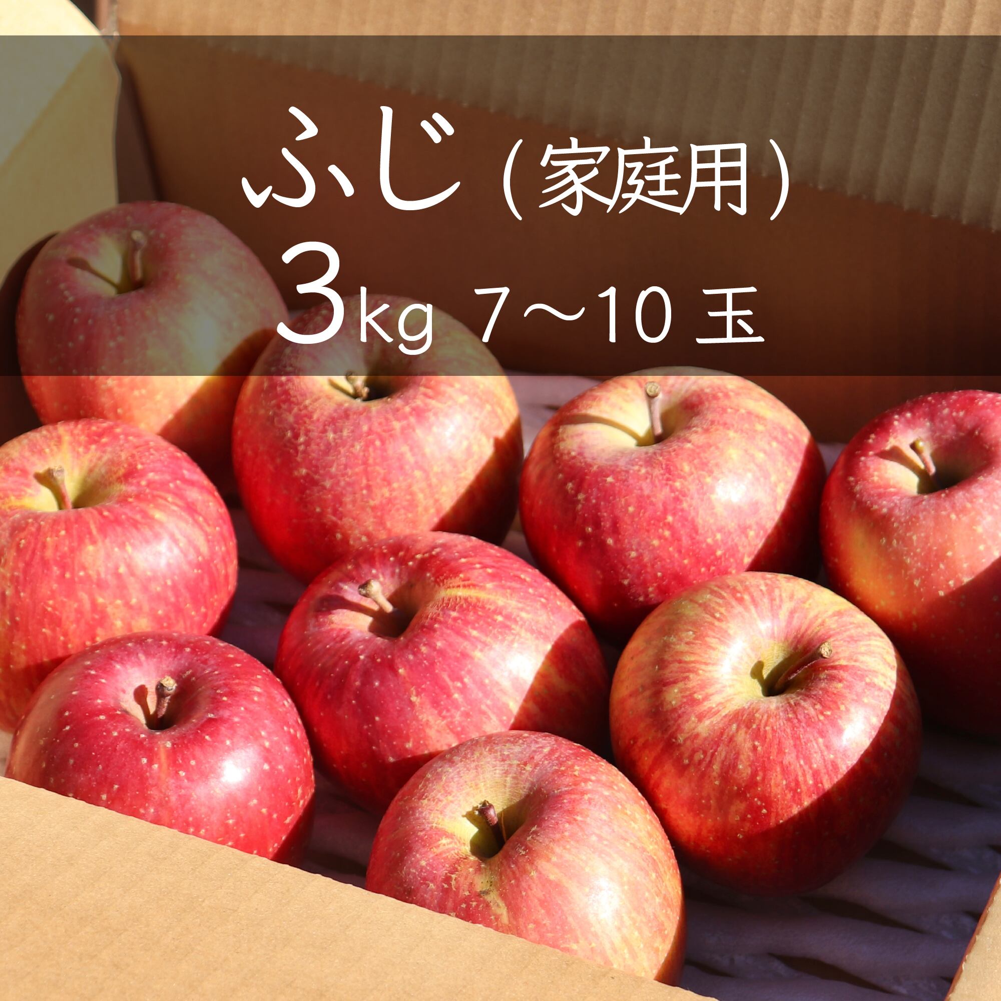 りんごの王様！ふじりんご　フルーツガーデン北沢／マルカメ醸造所　【家庭用】　約3㎏(7~12玉入り)