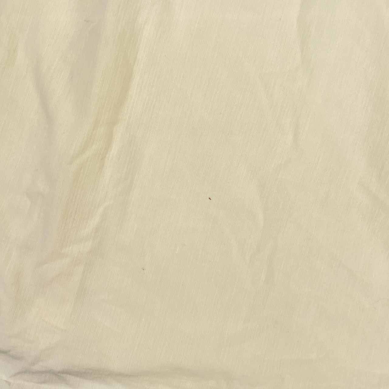 WALL GUY SHIRT PAPAS パパス ボタンダウン BD 半袖 シャツ L /クリーム/メンズ/日本製