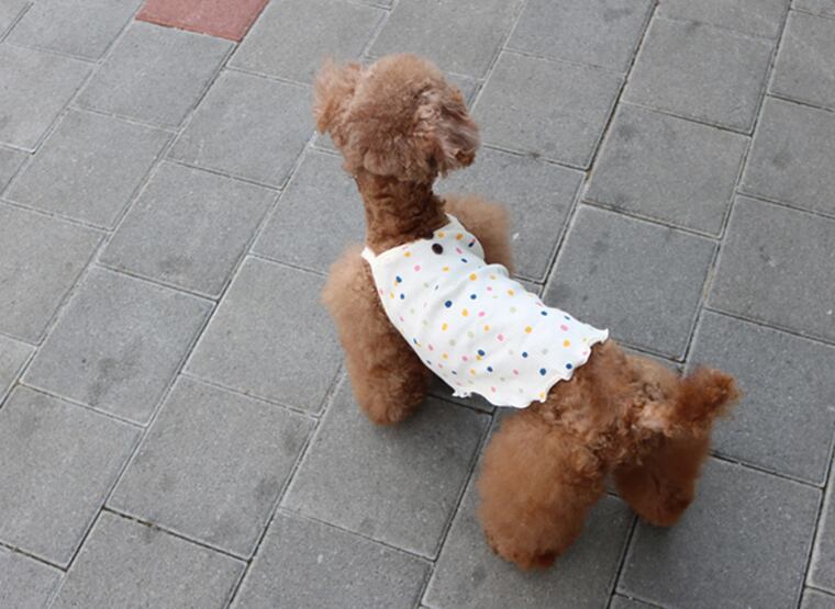【SALE】 mini dot top S ~ XL 2color / 犬服 春夏 新作 Tシャツ ドッグウェア シンプル 袖なし 小型犬 中型犬 トップス 涼しい タンクトップ