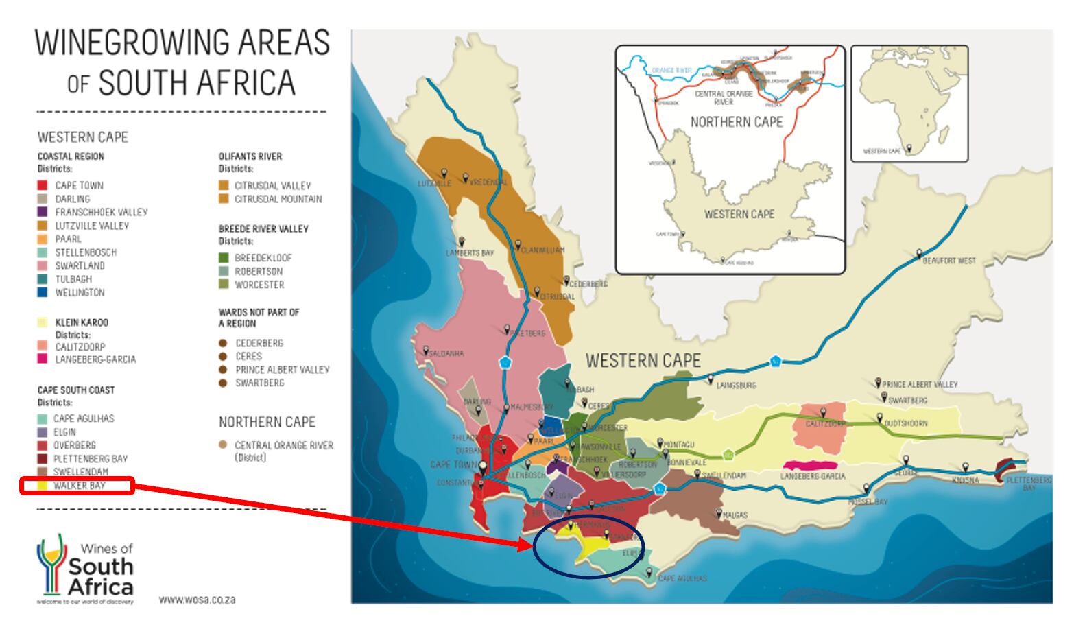 【ニュートン・ジョンソン・ワインズ】アルバリーニョ 2022