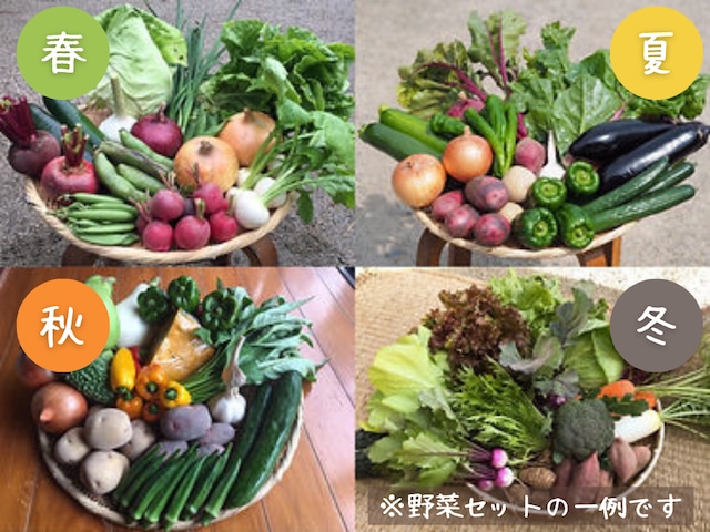 【定期便：月1回】旬の野菜セットS