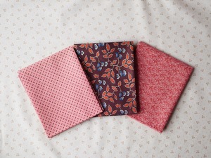 Moda　Pamella's Path(パメラズパス）1850-1880 カットクロスセット