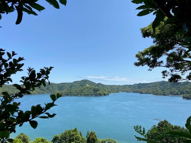 ポンカン【贈答用】　　　5㎏2Lサイズ（約29個）