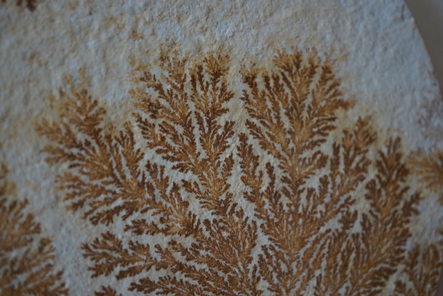 デンドライト 額装 Dendritic limestone 1044