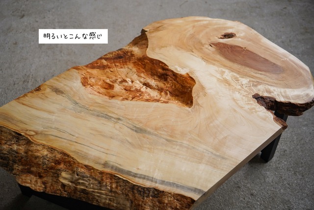 白い栃のローテーブル