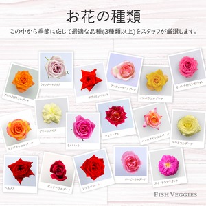 FISH VEGGIES／お魚が育てたお野菜　香りと彩りを贈る エディブルローズギフト　エディブルローズ10輪 × 芯身美茶 ノンカフェイン 華やかガーリーブレンド 缶(10パック)ローズティーセット