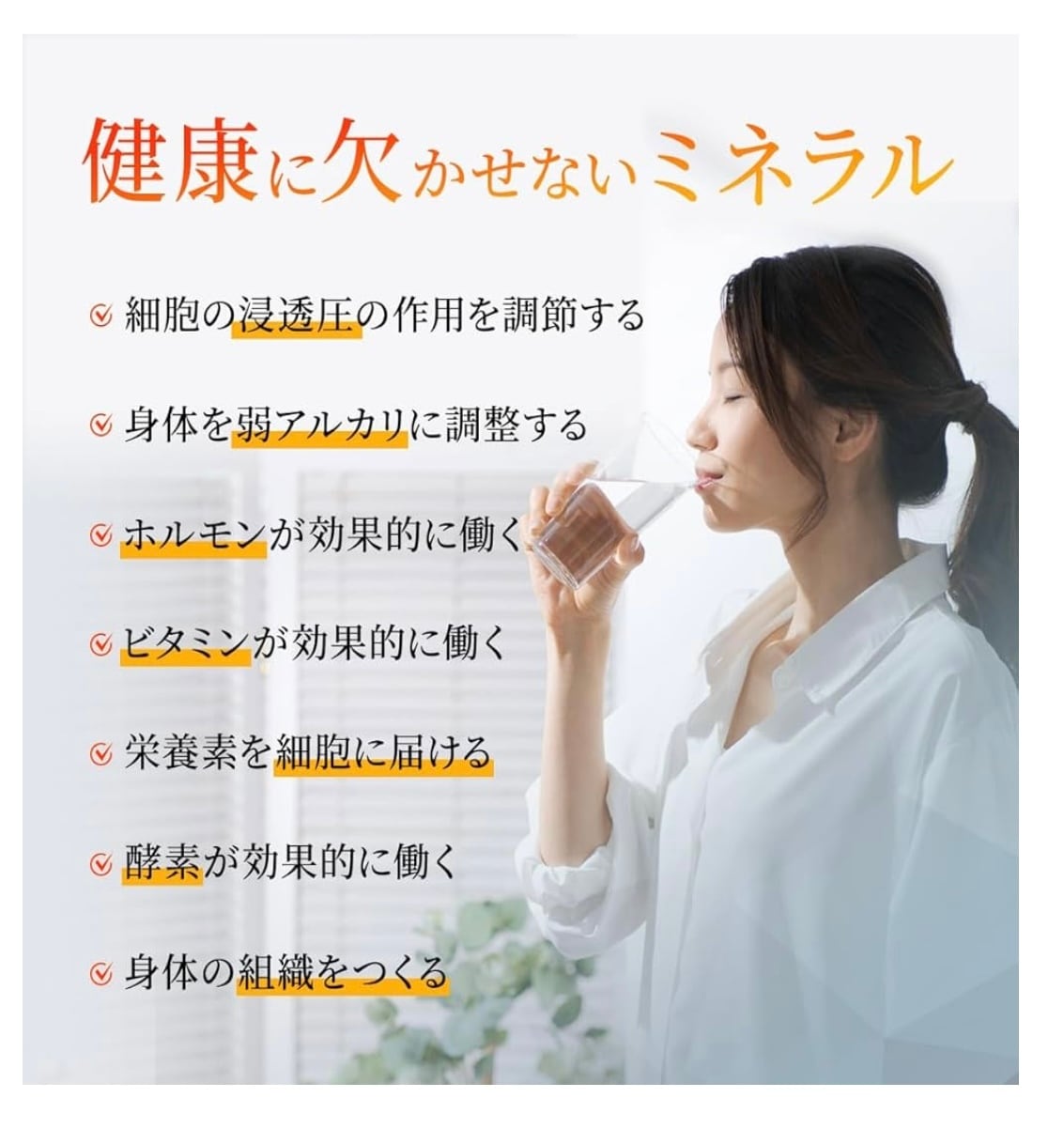 天然 フルボ酸原液 カラダに優しい植物性総合ミネラル 100ml