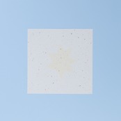 < しまむらひかり > リソグラフ作品「きらきらぼし」