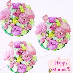 [店舗受け取り]Mサイズ(お任せアレンジメントフラワー)MOTHER'S DAY/ラウンドタイプ/誕生日/記念日/開店お祝い/フラワーギフト/花プレゼント/【※北海道と沖縄県・離島へのお届け不可】