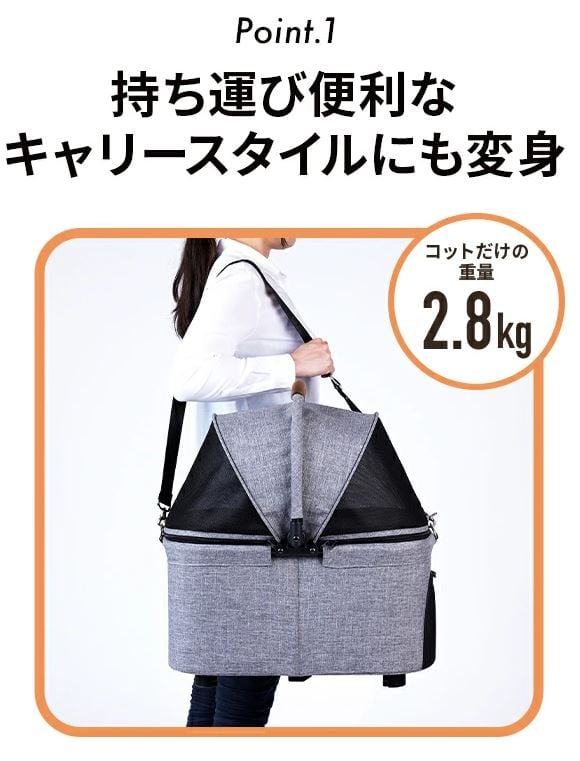 AIRBUGGY エアバギー エアーバギー Wiz ウィズ EARTH GREY アース