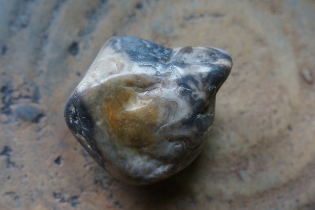 恐竜の胃石 Dinosaur Gastrolith