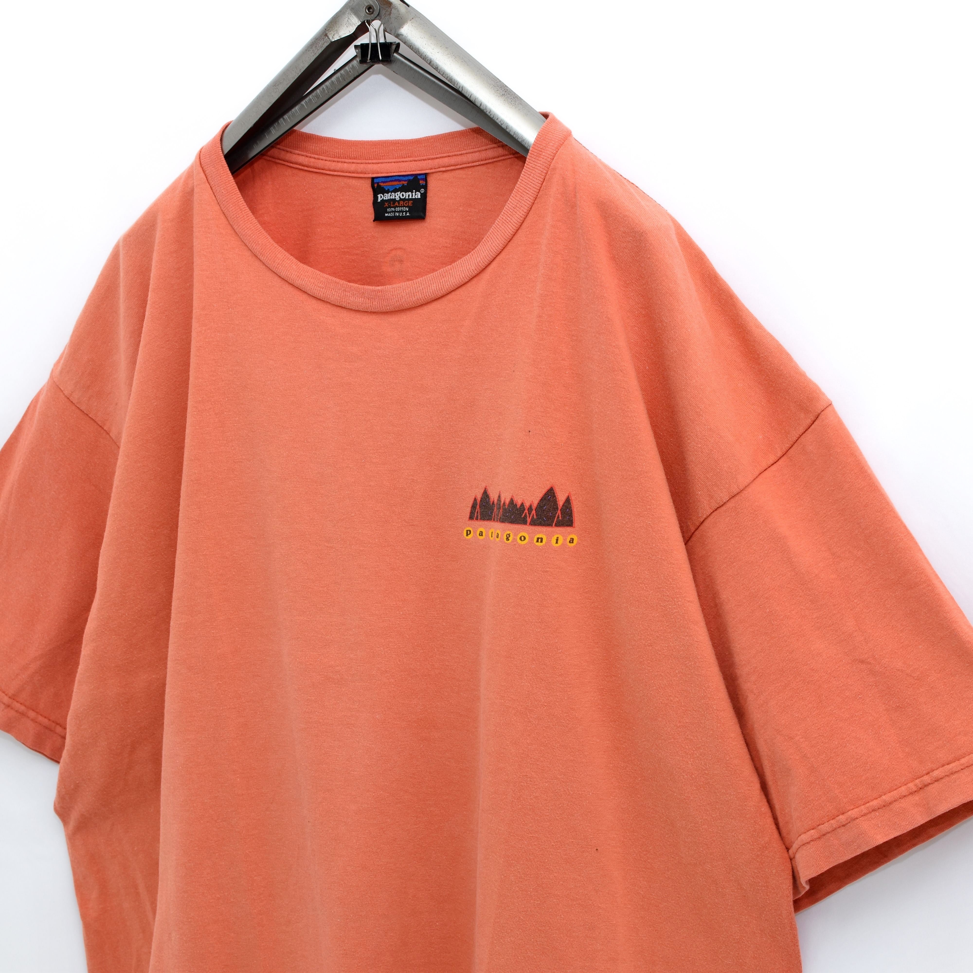 90s Vintage 【USA製】patagonia 雪無し 黒タグ Tシャツ パタゴニア