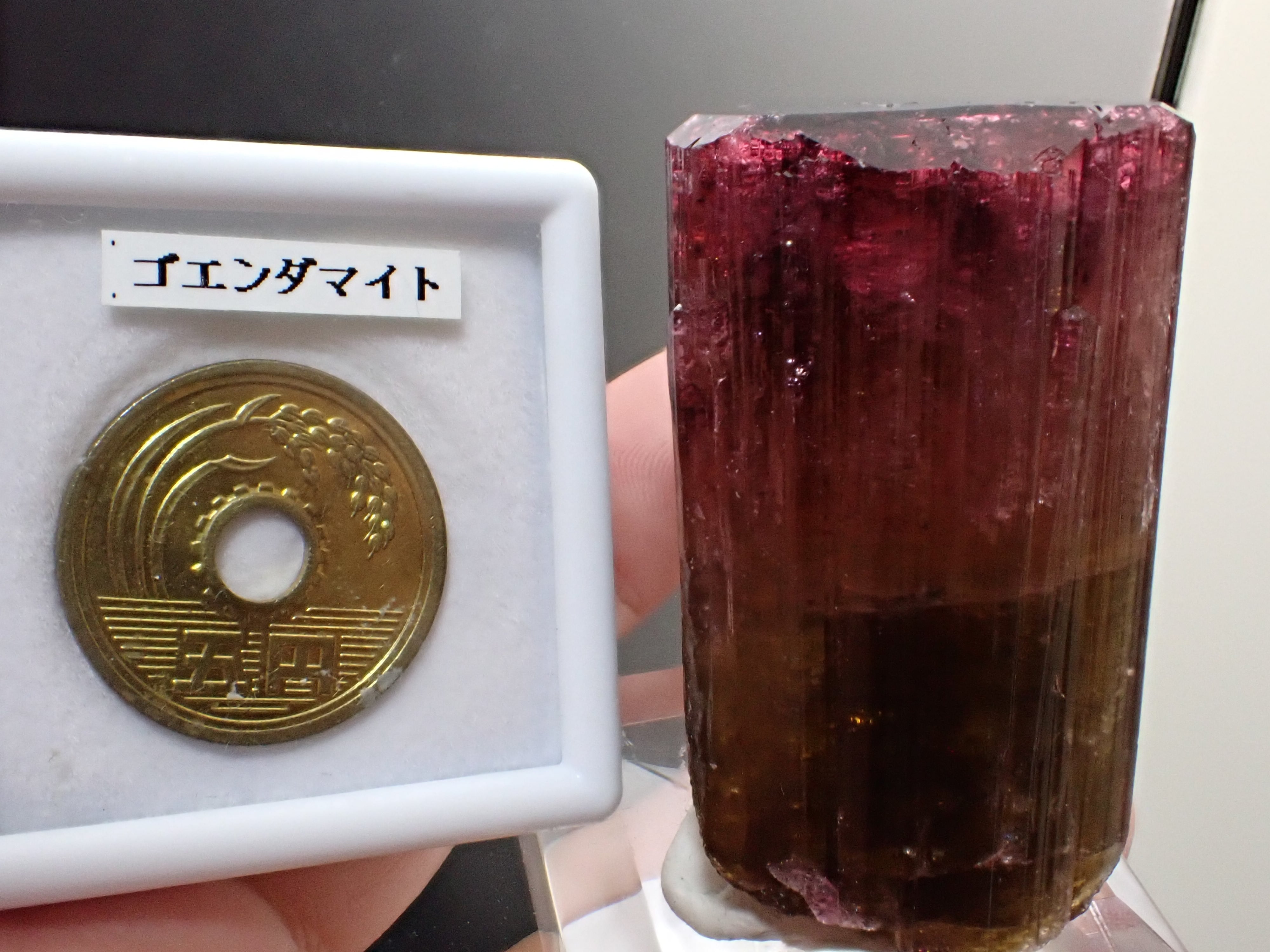ロシア産】巨晶 バイカラートルマリン リシア電気石 原石 標本 鉱物