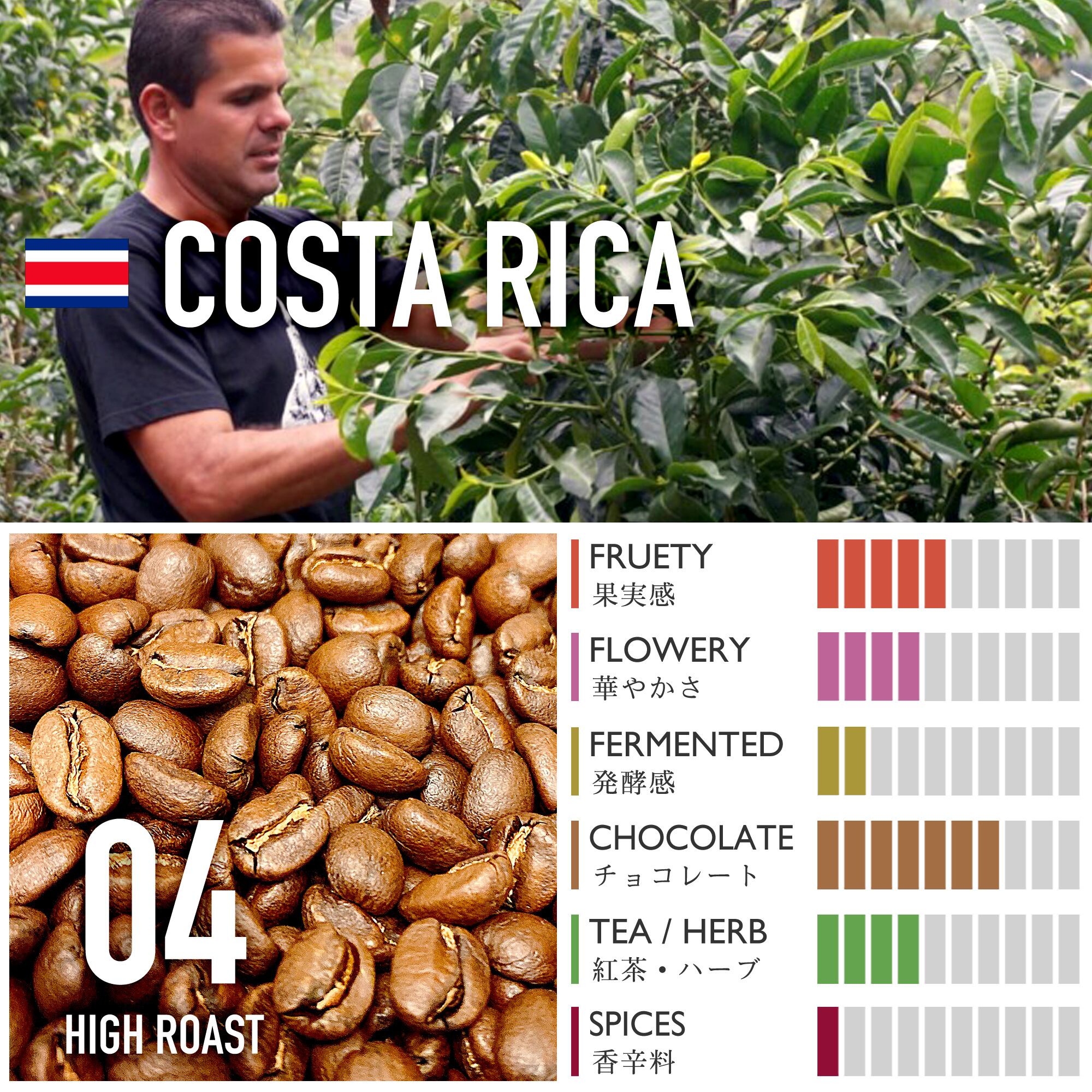 コスタリカ/ピエサン農園・カトゥアイ・ホワイトハニー【中煎り】