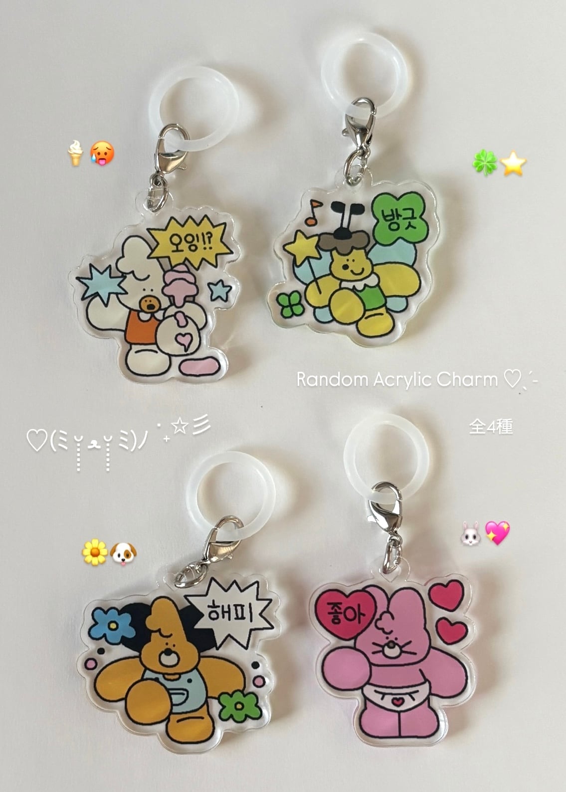 ランダム目印アクセサリー[全4種] | DDBRstore
