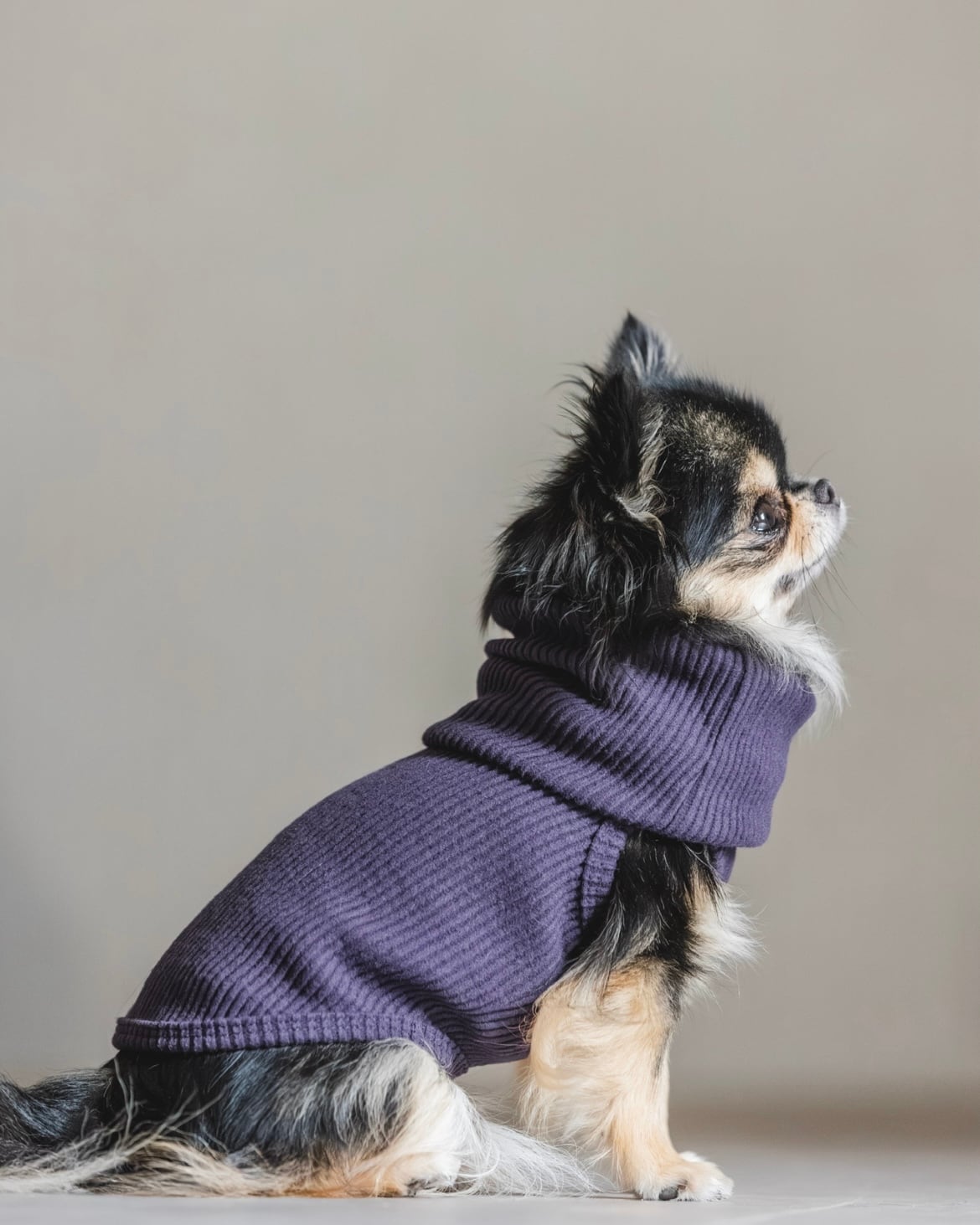 Luxury Warm リブ(パープル)