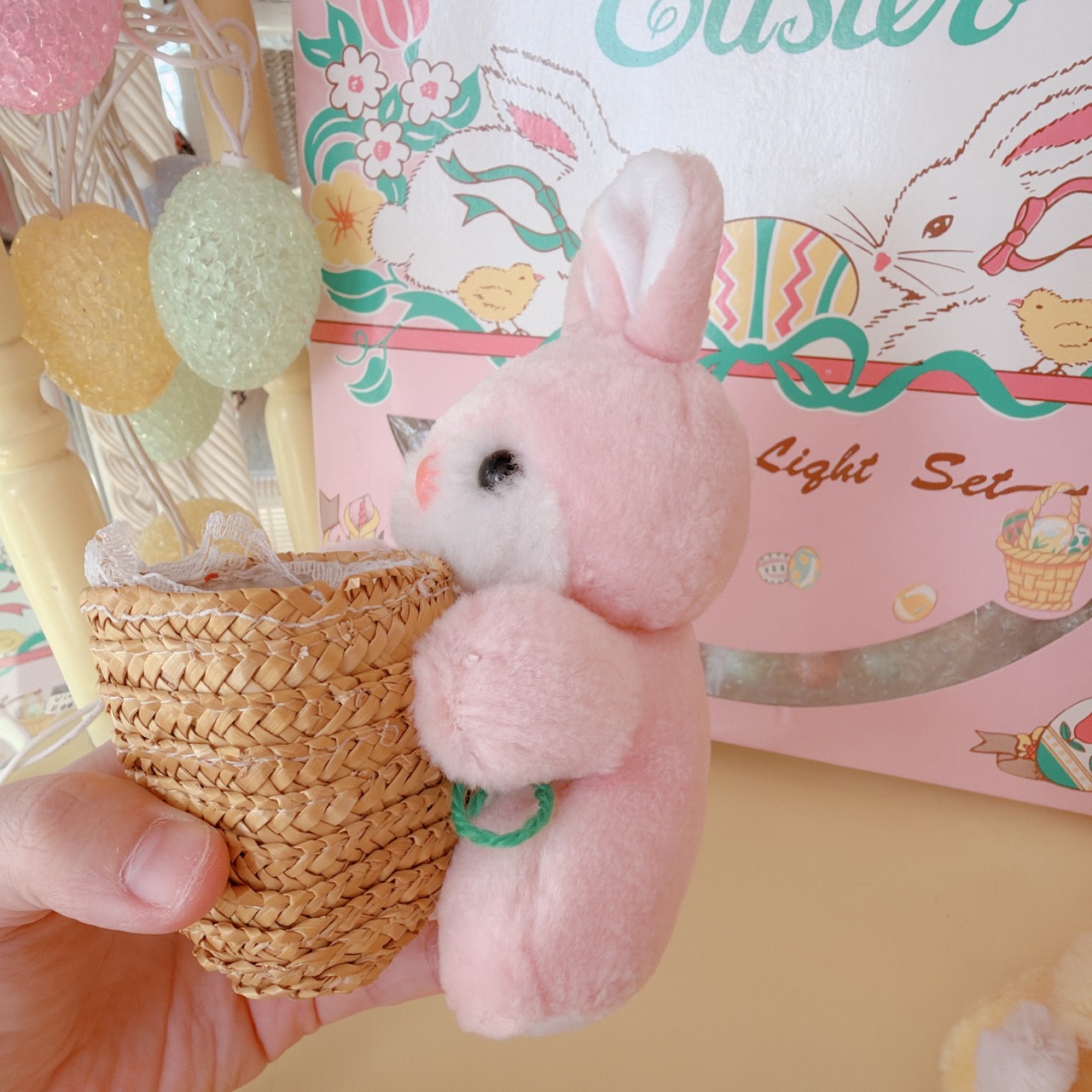 basket bunnysの画像08