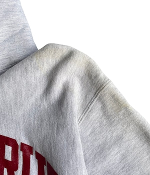 Vintage 90s champion reverse weave hoodie -Santa cruz-