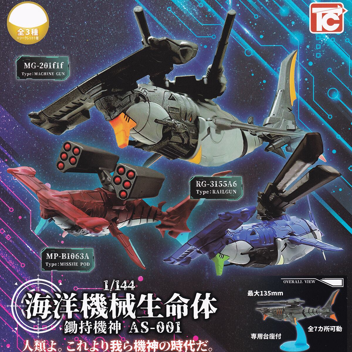 （当時物）shinseisya/ギャルズアイランド非売含むフルコンプ 17bed4c297f7dab75a48e3c750dd58