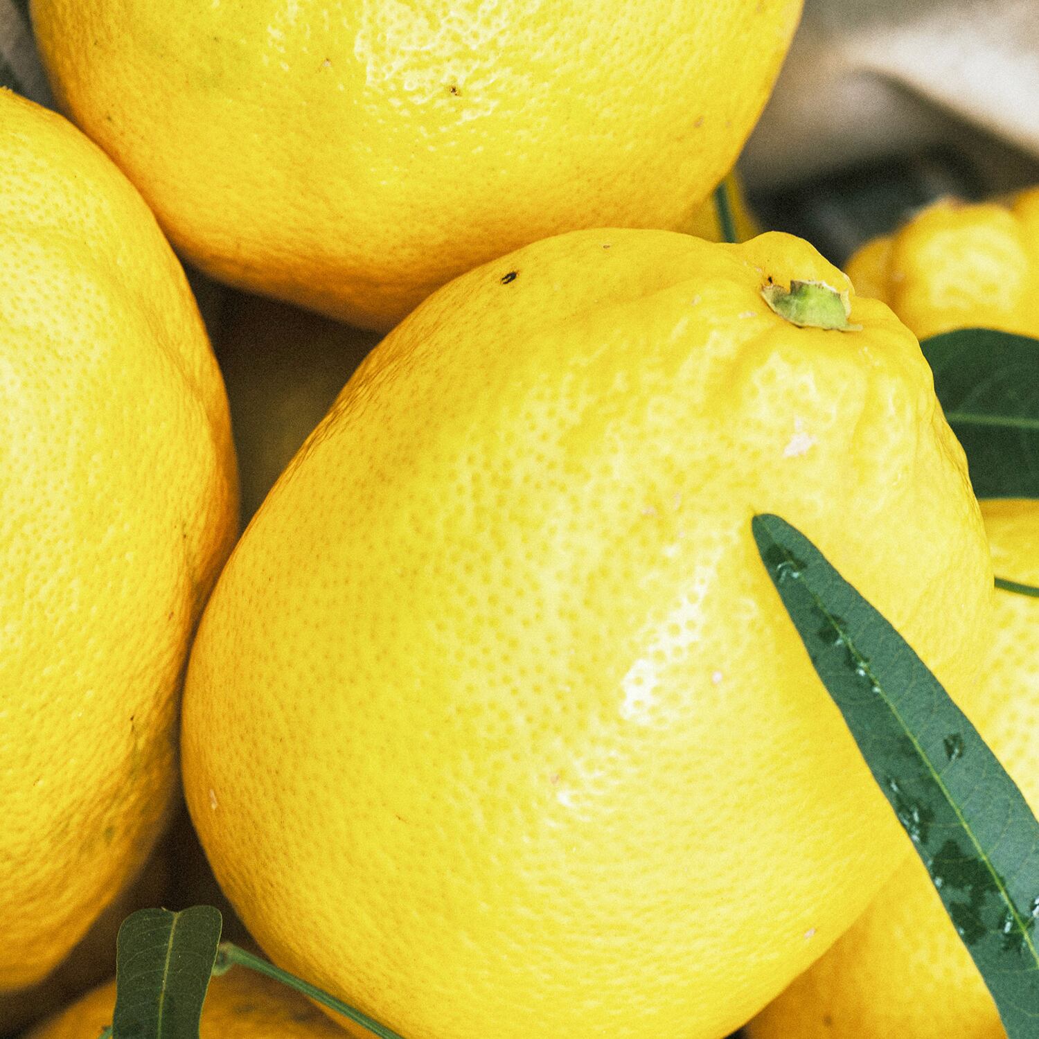 Cedro di Calabria】チェドロ ディ カラブリア シャワージェル 100ml