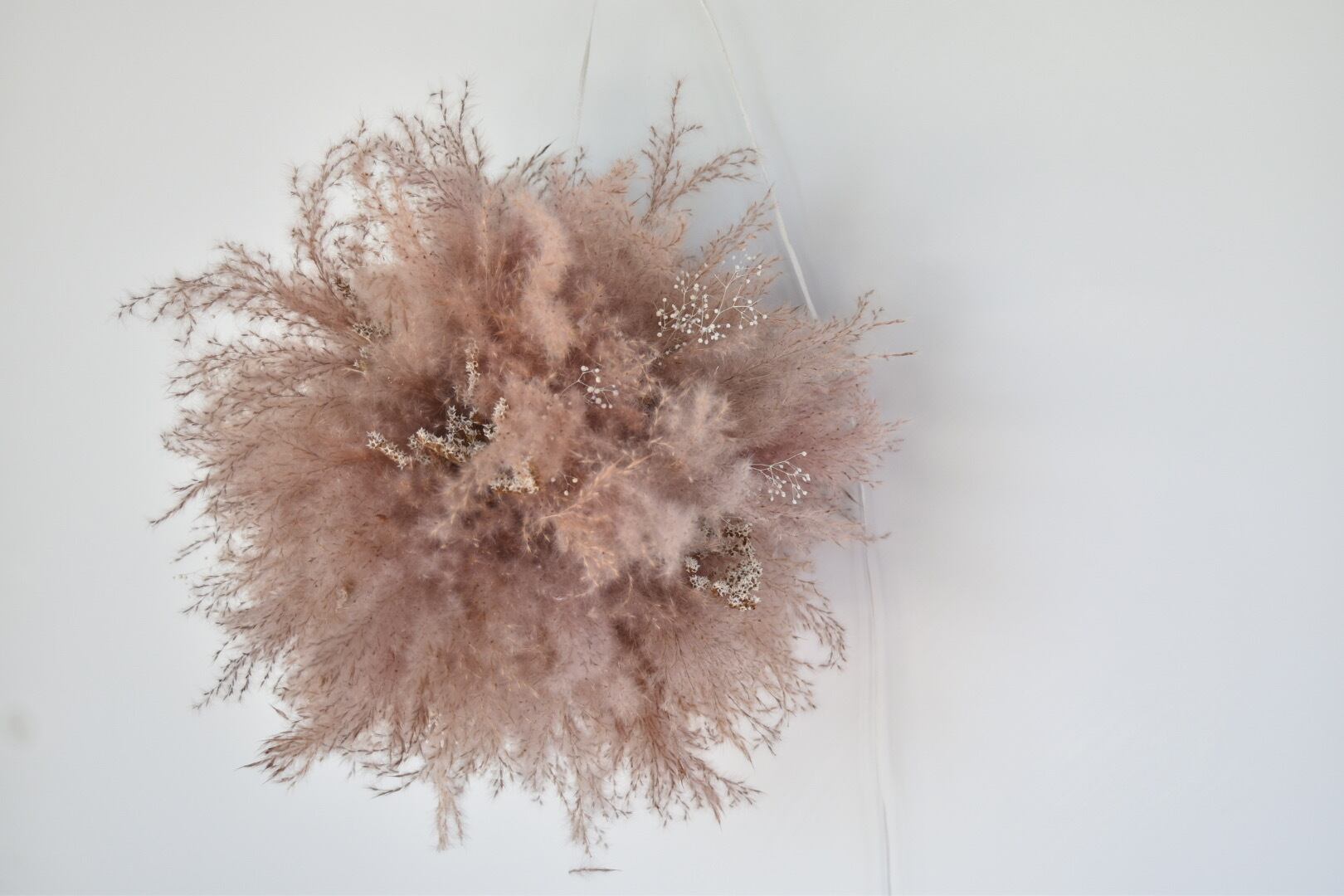 パンパスボールM アッシュピンク /フライングボール/フライングリース