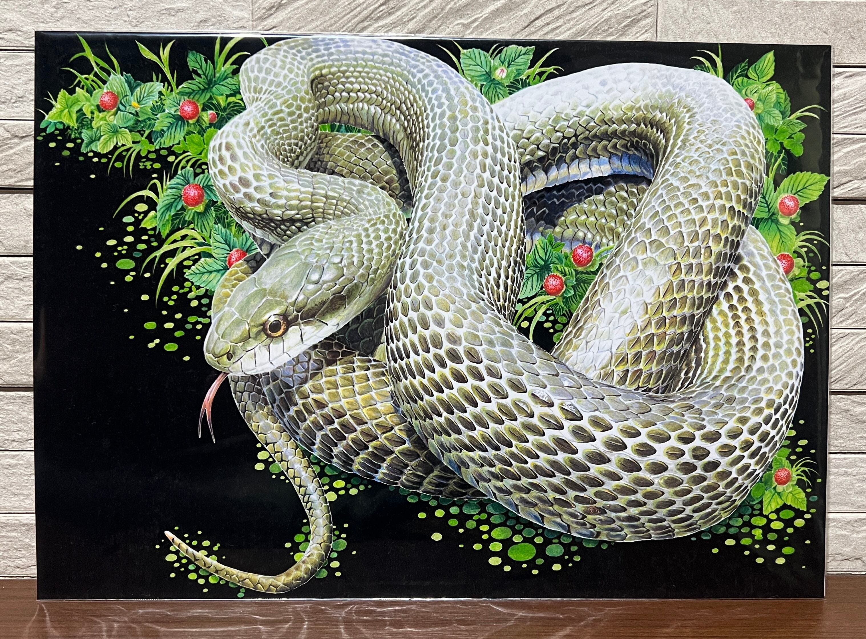 磯野キャビア ZOO