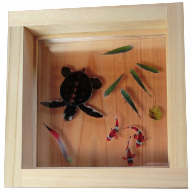 ☆リアル金魚☆芸術作品☆桐箱二重☆日本製 現代アート
