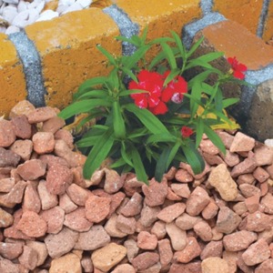 ブリックチップ・ネオ BRICK CHIPS NEO