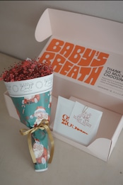 Xmas baby’s breath box