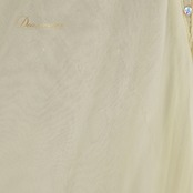 社交ダンス 衣装 スタンダードレス ワンピース ドレス スタンダード 黄色 レース デモ 競技 ダンス パーティ 発表会 綺麗 上品 明るい レモンカラー イエロー系 明るい黄色 フレアスカート 上品デザイン 女性用 ドレススタイル おしゃれ ショーダンスパフォーマンス 競技用衣装