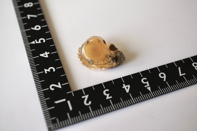 エッグ・イン・オパール Opal Egg 1084