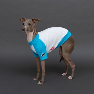 ラグランTシャツ　blue / イタグレ服