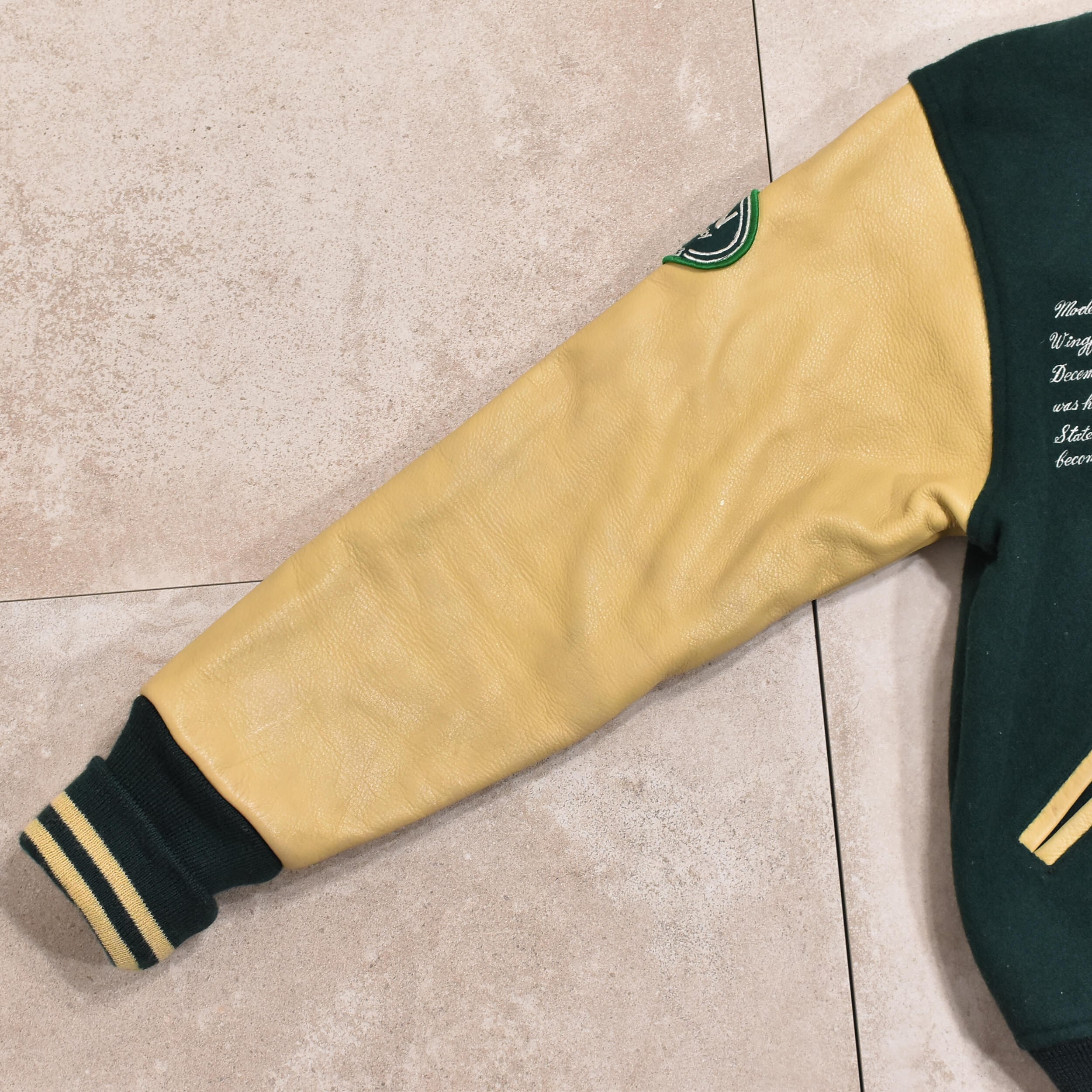 80s 早稲田大学 グリーン・テニス・クラブ レタード スタジャン