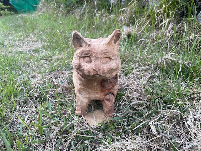 猫のヒゲ集め