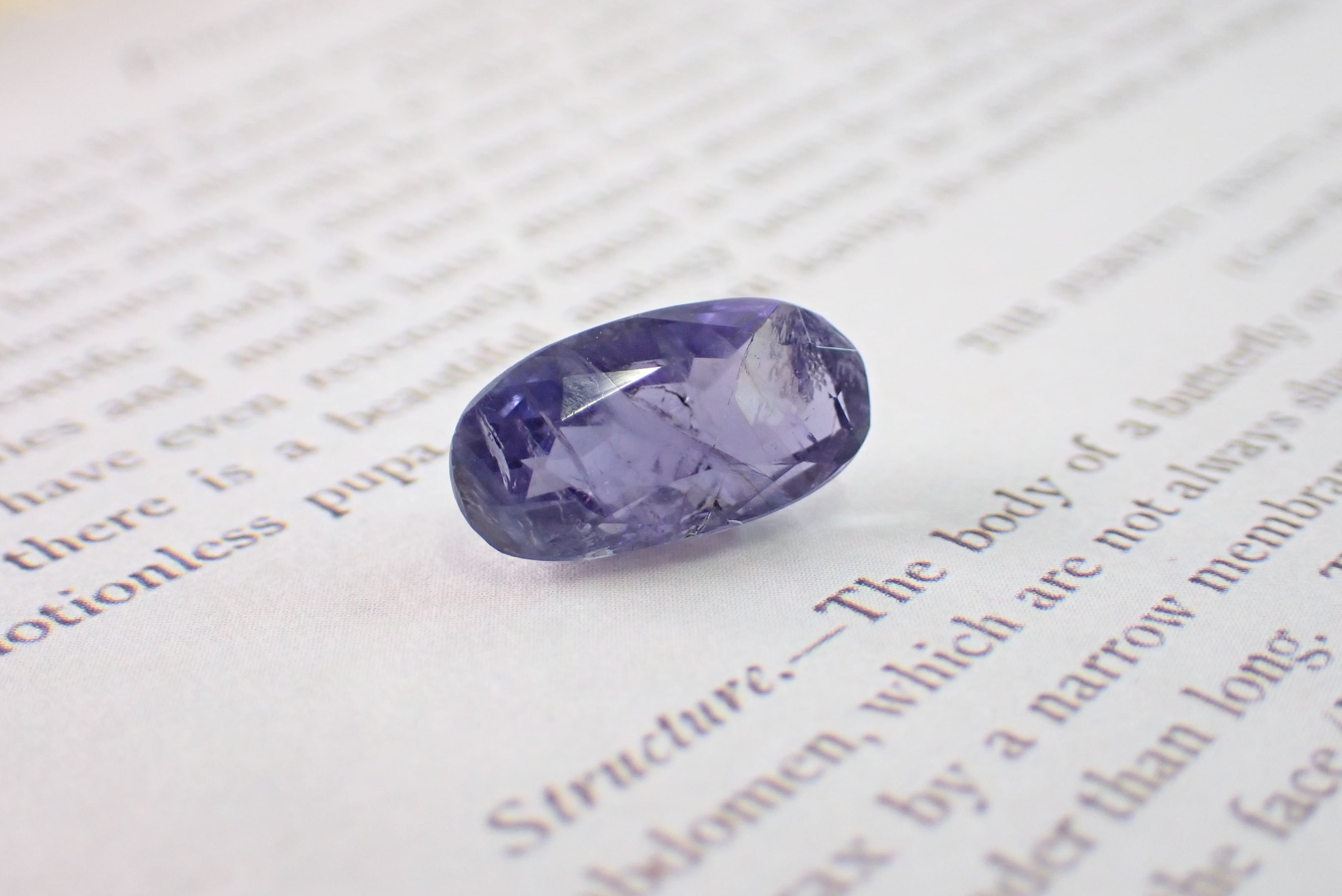 アイオライト　ロングイ For Maurice Lacroix AIKON AI1018 Cowhide Leather Watchband