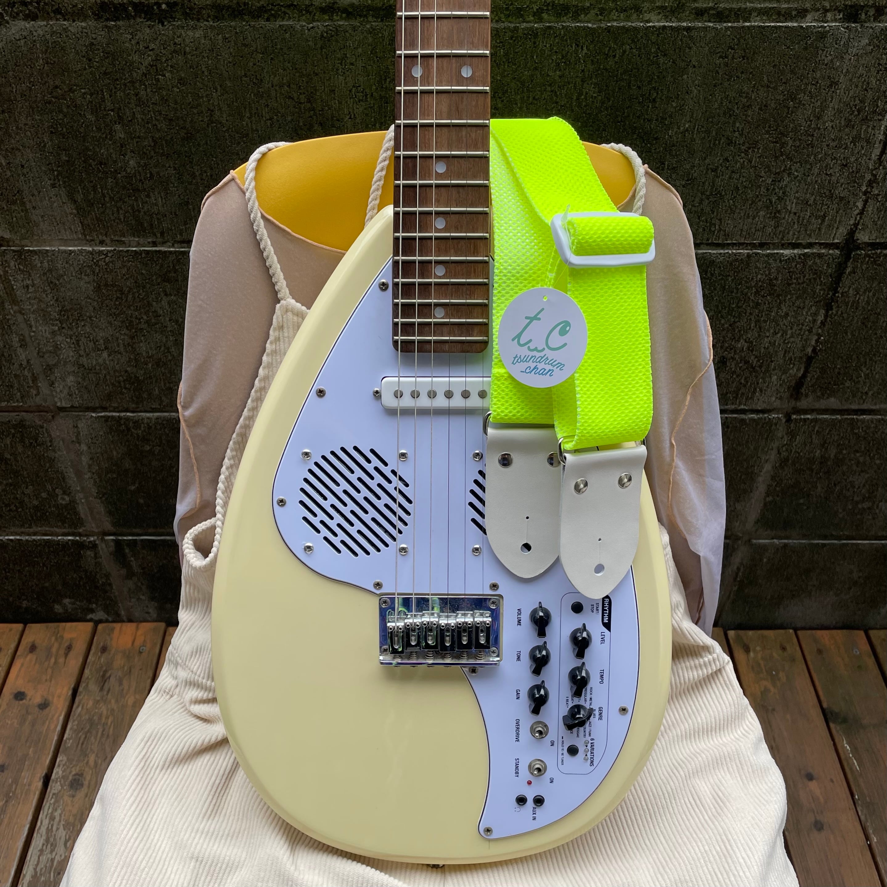tsundrum_chan|ツンドラムちゃん かわいい楽器ケース・アクセサリの