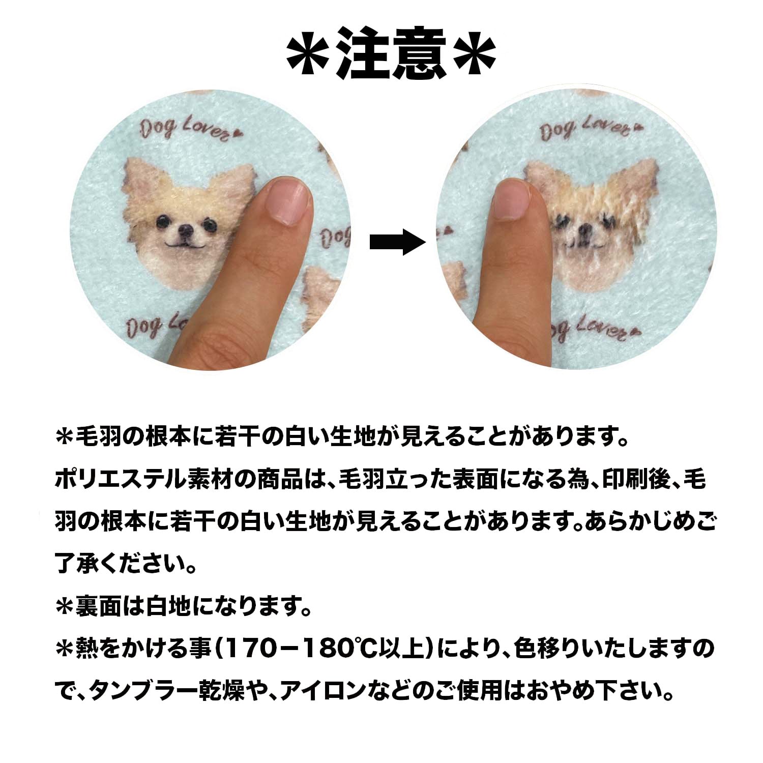 ロイヤル チワワ 】 パステルカラー ハンカチ 2枚セット 犬 ペット