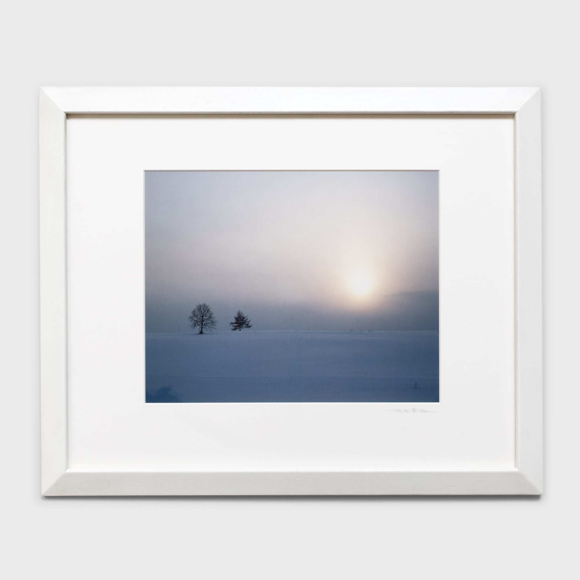 前田真三額装写真「花鳥山水・四季絵模様」白木額〈展示品/直筆サイン入〉