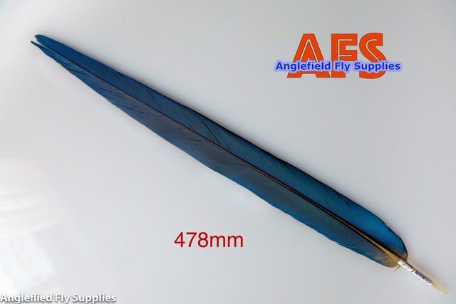 Blue-Gold Macaw Side Tail (BGMSP2) / マコー サイドテール